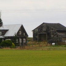 Houses of Nuevo Braunau